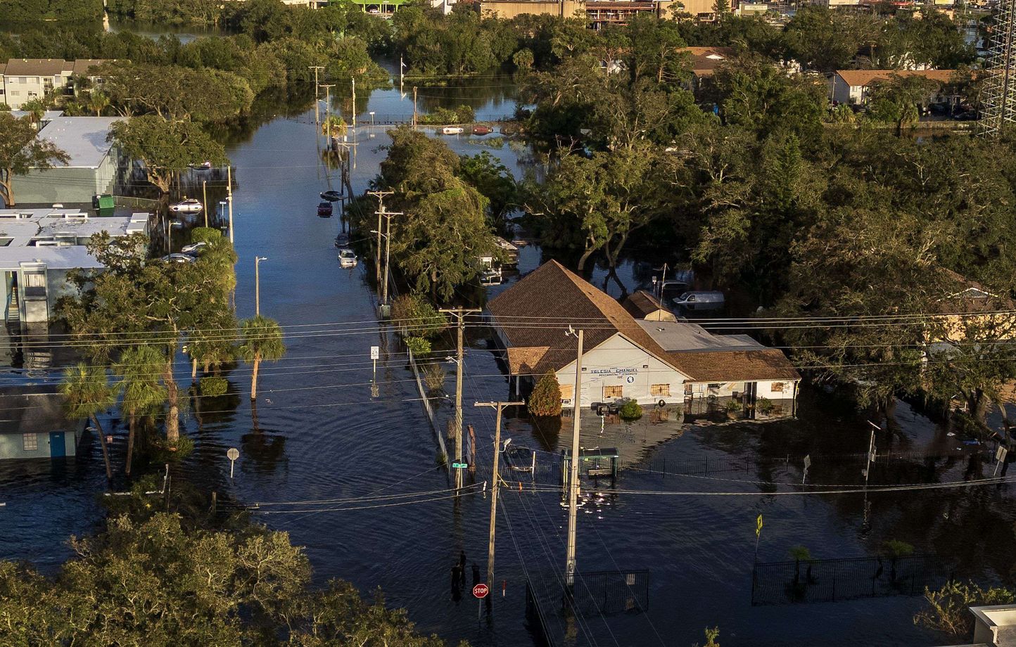 Milton : Une catastrophe sans fin ou un avenir possible ?